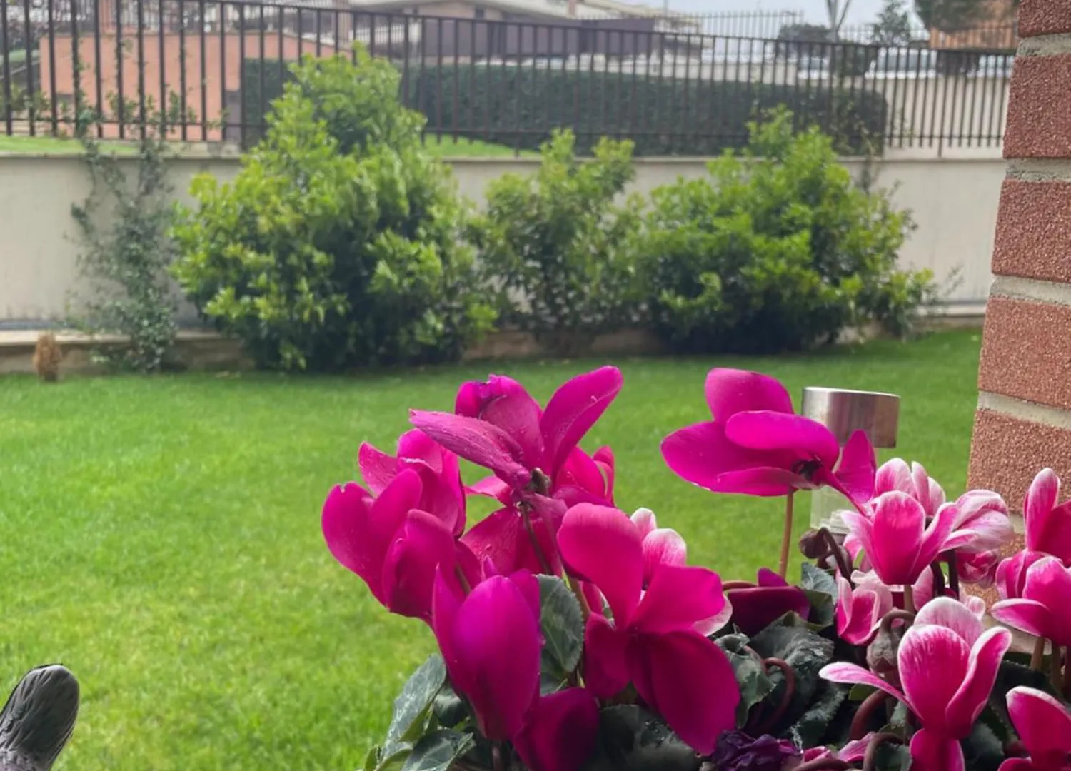 Διαμέρισμα Aloise Home Ρώμη